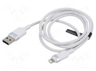 Cable; USB 2.0; Apple Lightning plug,USB A plug; nickel plated VENTION