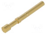 Test needle; Operational spring compression: 4mm; 4A,5A; Ø: 4mm FIXTEST