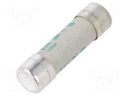 Fuse: fuse; 20A; 500VAC; aM; ceramic,cylindrical,industrial DF ELECTRIC