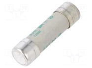 Fuse: fuse; 20A; 500VAC; aM; ceramic,cylindrical,industrial DF ELECTRIC