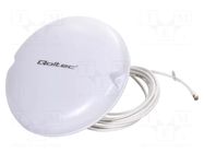 Antenna; white; SMA; 50W; 3.3÷3.8GHz; 50Ω; 3m; 5dBi; -40÷50°C; RG58/U QOLTEC