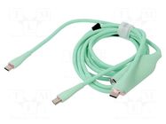 Cable; USB 2.0; USB C plug,USB C plug x2; nickel plated; 1.5m VENTION