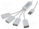 Hub USB; USB A socket x4,USB A plug; USB 2.0; PnP and Hot Swap DIGITUS