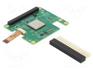 Accessories: expansion board; Comp: Hailo-8L accelerator; 13TOPS RASPBERRY PI