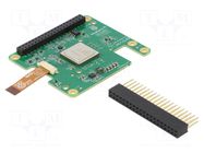Accessories: expansion board; Comp: Hailo-8L accelerator; 13TOPS RASPBERRY PI