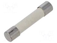 Fuse: fuse; 10A; 250VAC; 125VDC; quick blow; ceramic,cylindrical EATON/BUSSMANN