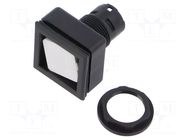 Switch: push-button; IP66; QUARTRON-JUWEL®; black; 24x24mm SCHLEGEL
