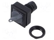 Switch: rotary; none; IP65; QUARTRON-JUWEL®; 24x24mm SCHLEGEL