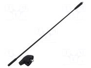 Antenna; car top,automotive; 0.41m; AM,FM; Ford; Ømount.hole: 8mm MTA