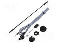 Antenna; car top; 0.41m; AM,FM; Alfa Romeo,Fiat,Lancia; 2.7m MTA