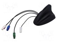 Antenna; SHARK; AM,DVB-T,FM,GPS,TV; Fakra; Len: 0.25m; 12VDC ACV