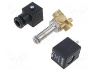 Electromagnetic valve; G 1/4"; brass; FKM; Valve: 2/2 NC; 230VAC AIGNEP