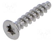Screw; for plastic; 2.5x12; Head: countersunk; Torx®; TX08; BN 2043 BOSSARD