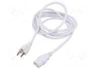 Cable; 3x0.75mm2; IEC C13 female,NEMA 5-15 (B) plug; PVC; 3m LIAN DUNG
