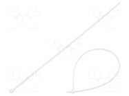 Cable tie; lumiscent; L: 250mm; W: 2.5mm; white; polyamide TIE10