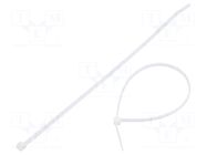 Cable tie; lumiscent; L: 250mm; W: 3.6mm; white; polyamide TIE10