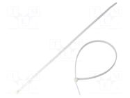 Cable tie; lumiscent; L: 200mm; W: 4.6mm; white; polyamide TIE10