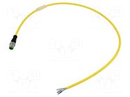 Cable: for sensors/automation; M12; PIN: 5; straight; 0.6m; plug MURRELEKTRONIK