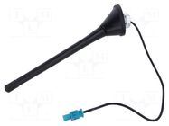 Antenna; car top; 0.175m; AM,FM; Seat,VW,Škoda; with amplifier 4CARMEDIA