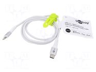 Cable; USB 2.0; Apple Lightning plug,USB C plug; 1m; white; 60W GOOBAY