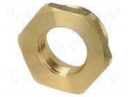 Mount.elem: thread adapter; brass; Int.thread: G 1" PNEUMAT