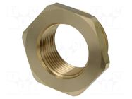 Mount.elem: thread adapter; brass; Int.thread: G 1" PNEUMAT