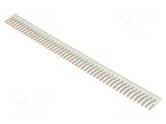 Comb bridge; grey; terminals: 50; 5mm PHOENIX CONTACT