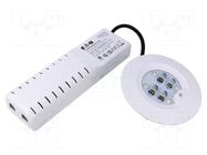 Lamp: LED emergency luminaire; RoundTech; IP65; white; 1.1W; 200lm EATON ELECTRIC