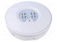 Lamp: LED emergency luminaire; RoundTech; IP65; white; 1.1W; 200lm EATON ELECTRIC