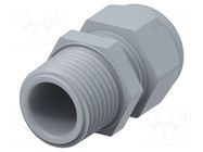 Cable gland; without nut; NPT1/2"; IP68; polyamide; grey; Entrelec TE Connectivity