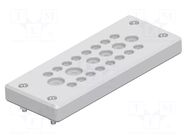 Multigate grommet; light grey; Holes no: 22; -40÷80°C; IP65 TE Connectivity