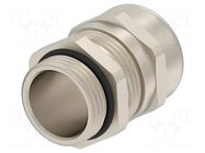 Cable gland; without nut; PG13,5; brass; Entrelec TE Connectivity