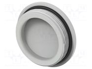 Stopper; M40; 1.5; IP68; polyamide; light grey; Entrelec; 8mm TE Connectivity