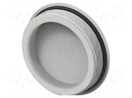 Stopper; M50; 1.5; IP68; polyamide; light grey; Entrelec; 10mm TE Connectivity