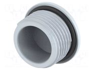 Stopper; PG11; IP68; polyamide; grey; Entrelec; Thread: PG; 10mm TE Connectivity