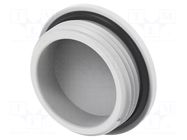 Stopper; PG21; IP68; polyamide; light grey; Entrelec; Thread: PG TE Connectivity