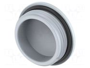 Stopper; PG21; IP68; polyamide; grey; Entrelec; Thread: PG; 8mm TE Connectivity