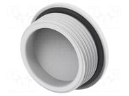 Stopper; PG21; IP68; polyamide; light grey; Entrelec; Thread: PG TE Connectivity