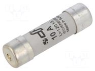 Fuse: fuse; 10A; 500VAC; 440VDC; gG; 14x51mm; copper; silver plated DF ELECTRIC