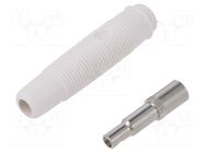 Connector: 4mm banana; socket; 16A; 60VDC; white; nickel plated HIRSCHMANN T&M
