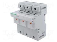Fuse base; 22x58mm; for DIN rail mounting; 125A; Poles: 3 SCHNEIDER ELECTRIC