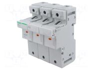 Fuse base; 22x58mm; for DIN rail mounting; 125A; Poles: 3 SCHNEIDER ELECTRIC