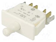 Switch: door; Pos: 2; DPDT; 10A/250VAC; Leads: connectors; on panel ZF