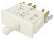 Switch: door; Pos: 2; DPDT; 10A/250VAC; Leads: connectors; on panel ZF