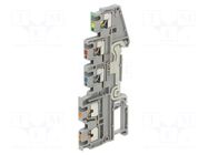 Splice terminal: rail; for DIN rail mounting; spring clamp; grey PHOENIX CONTACT