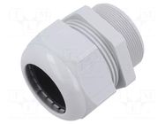 Cable gland; M50; 1.5; IP68; polyamide 6; light grey; HELUTOP® HT HELUKABEL