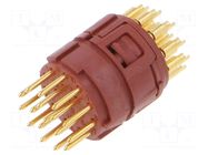 Connector: M23; contact insert; PIN: 17; male; soldering; 7A; 50V LAPP