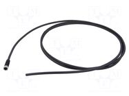 Cable: for sensors/automation; M8; PIN: 5; straight; 2m; plug; 30VDC BINDER