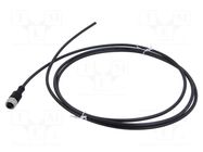 Cable: for sensors/automation; M12; PIN: 4; straight; 2m; plug; 4A BINDER