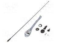 Antenna; car top,automotive; 0.84m; AM,FM; 2.7m; Ømount.hole: 8mm MTA